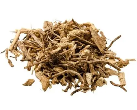Butcher's Broom Root Extract